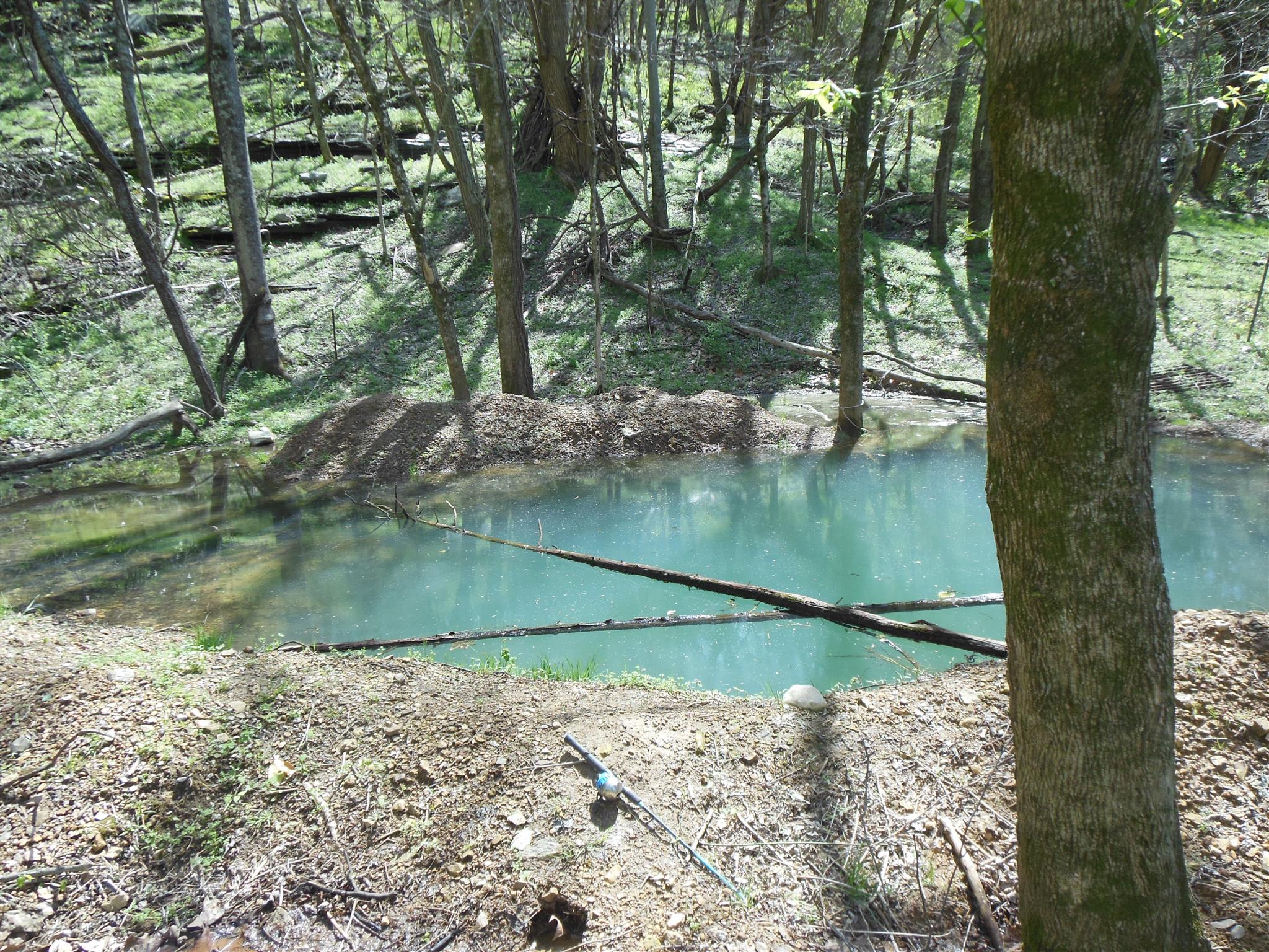 1345 Cochran Cemetery Road Lewisburg, TN 37091 - Photo 30 of 30 Gallery Image 30