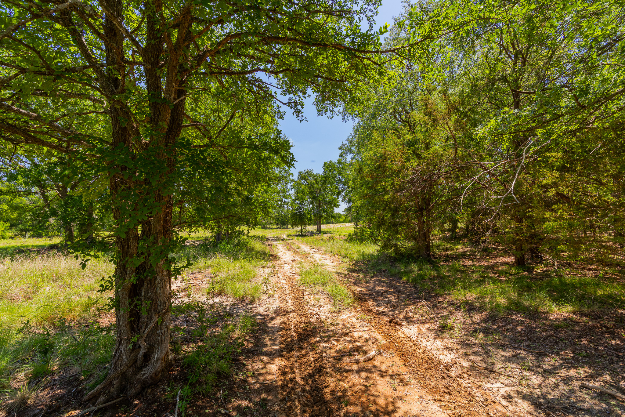 180 72 Ac Road Purmela, TX 76566 - Photo 18 of 33
