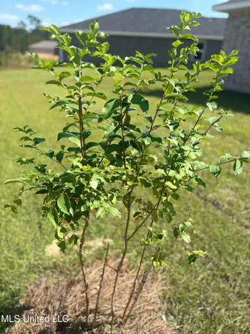 $232,775 | 14791 Davidson Court, Gulfport, MS 39503