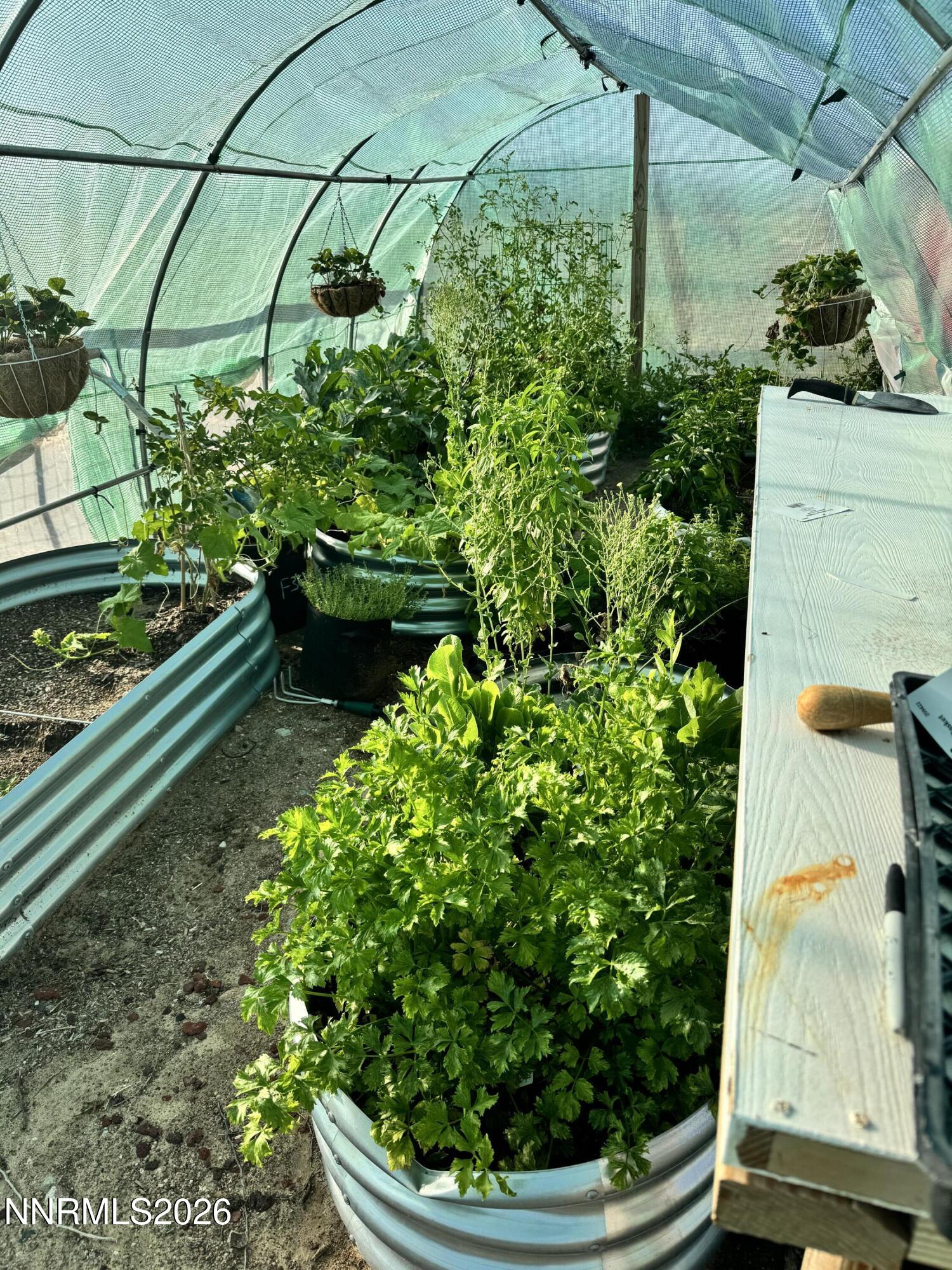 5 Rhoda Lane Yerington, NV 89447 - Photo 24 of 27 IMG_3075