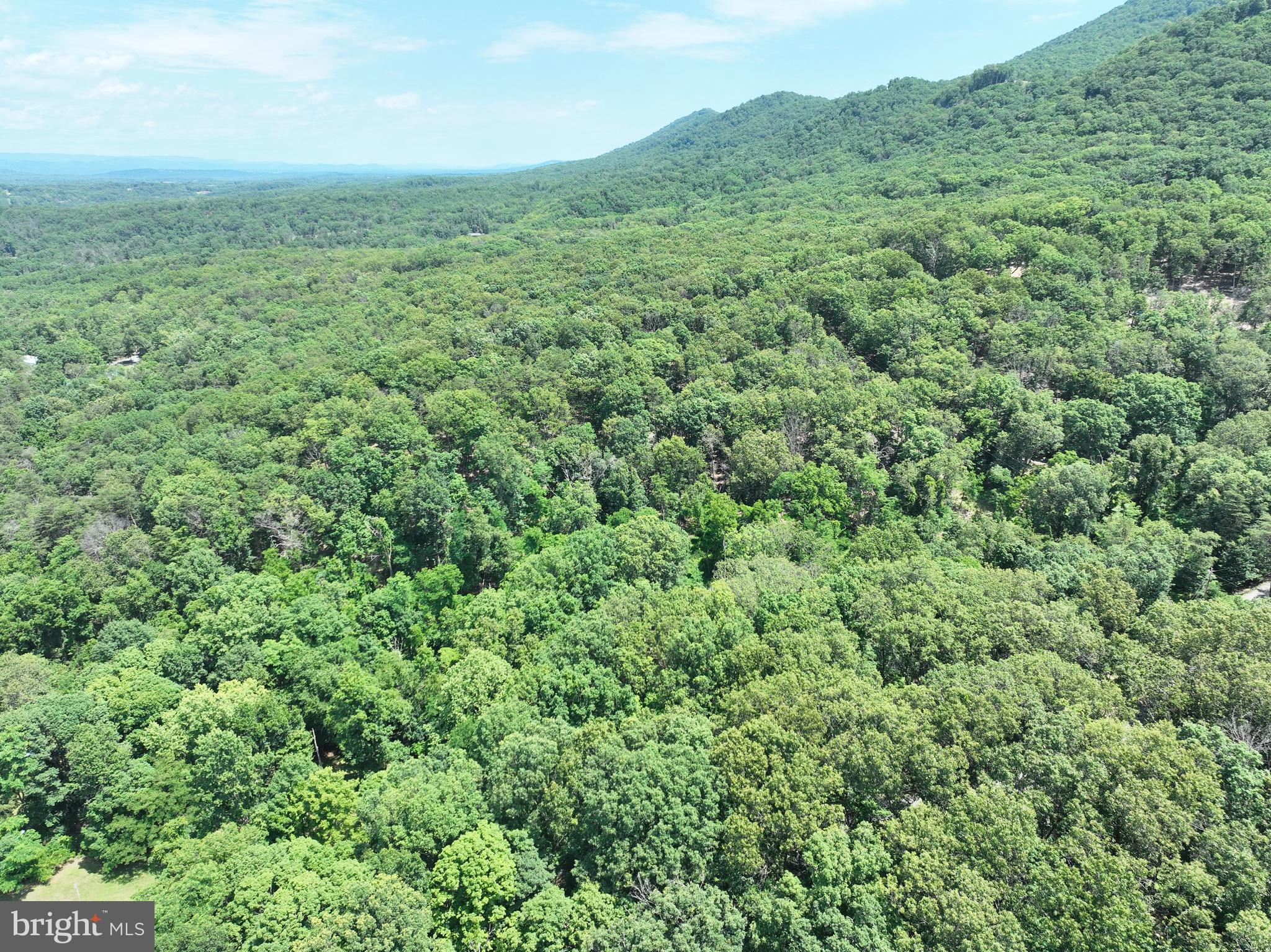 16 Rolling Acres Road Old Fields, WV 26845 - Photo 16 of 21