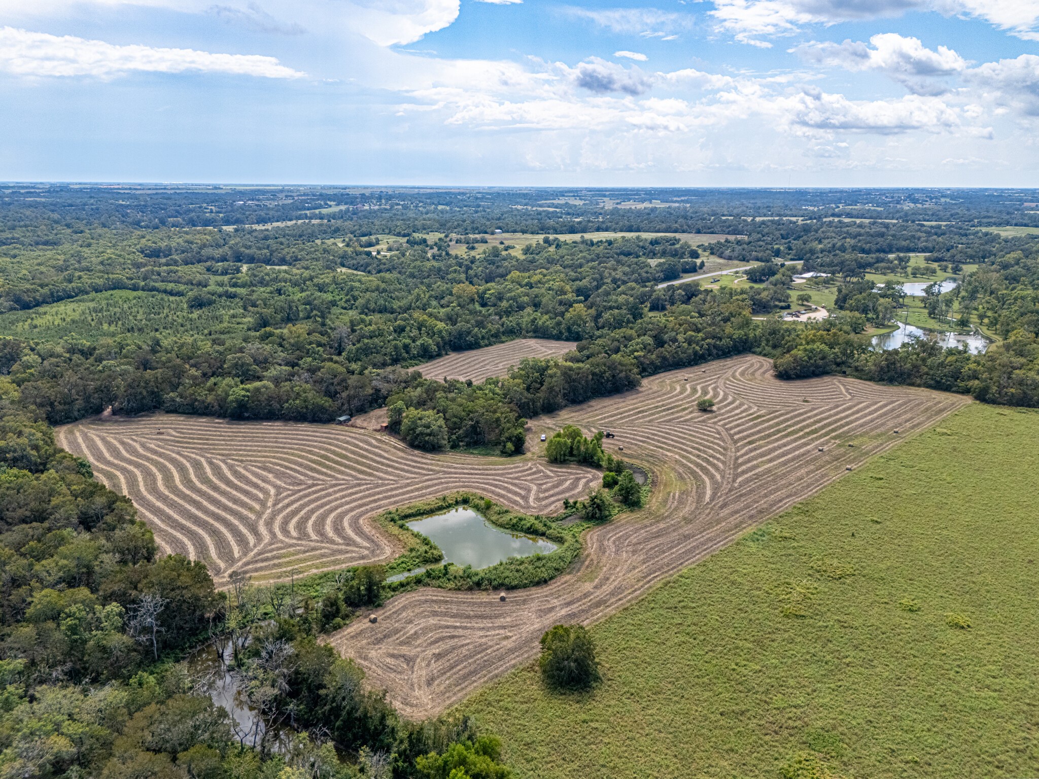 2602 North Fm 2429 Cat Spring, TX 78933 - Photo 7 of 23