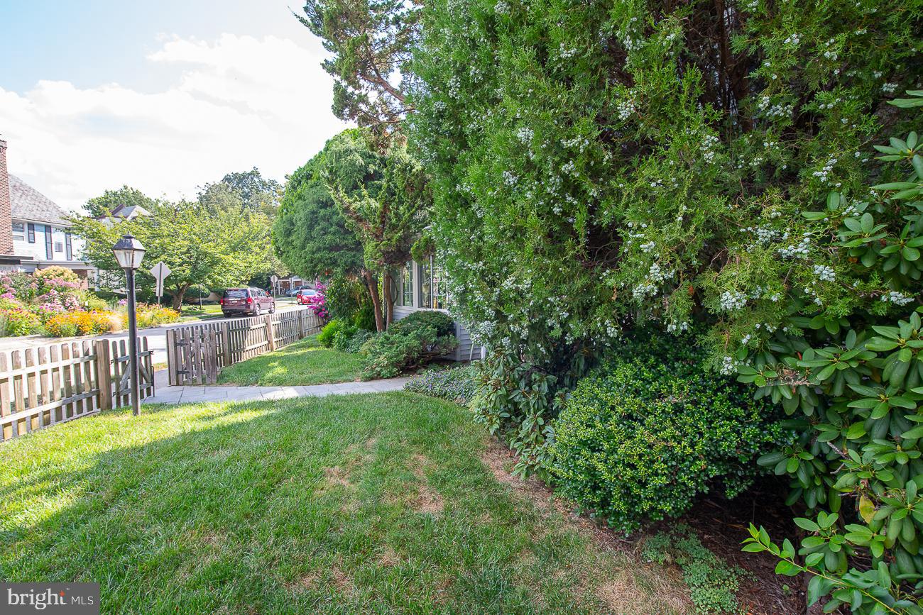 125 Gladstone Road Lansdowne, PA 19050 - Photo 7 of 65 Gallery Image 7