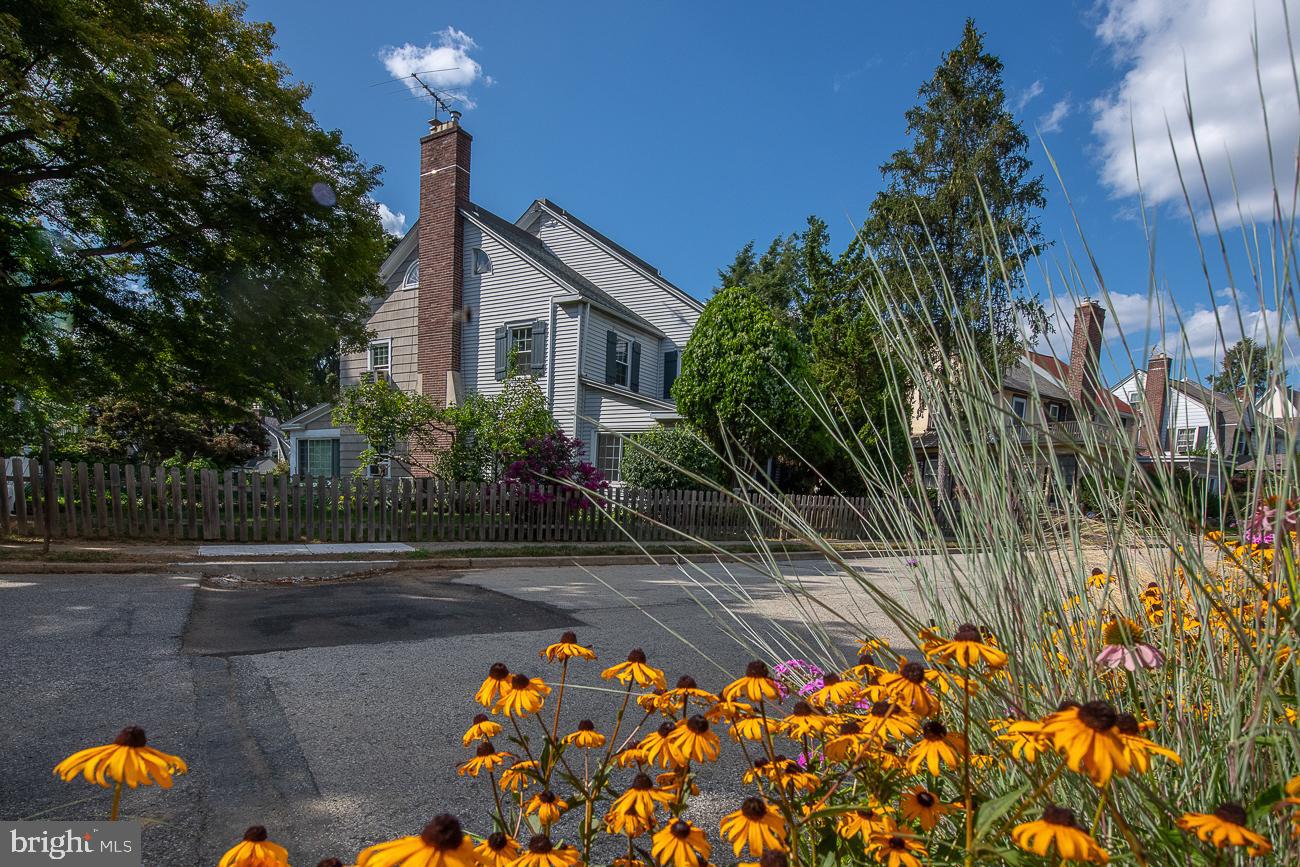 125 Gladstone Road Lansdowne, PA 19050 - Photo 64 of 65 Gallery Image 64