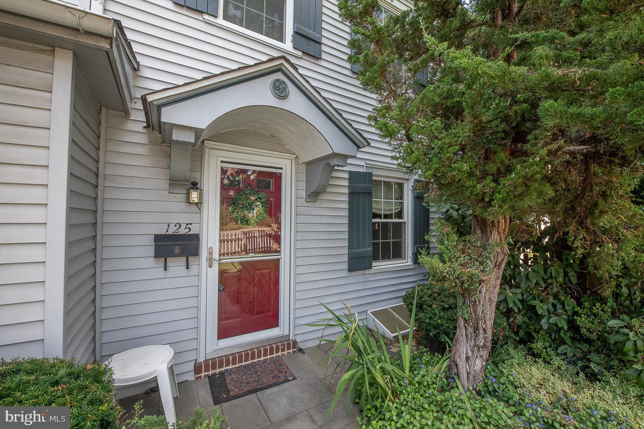 125 Gladstone Road Lansdowne, PA 19050 - Photo 9 of 65 Gallery Image 9