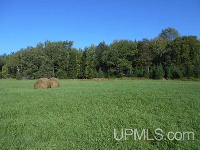 Tbd Miller Road Florence, WI 54121 - Photo 1 of 24