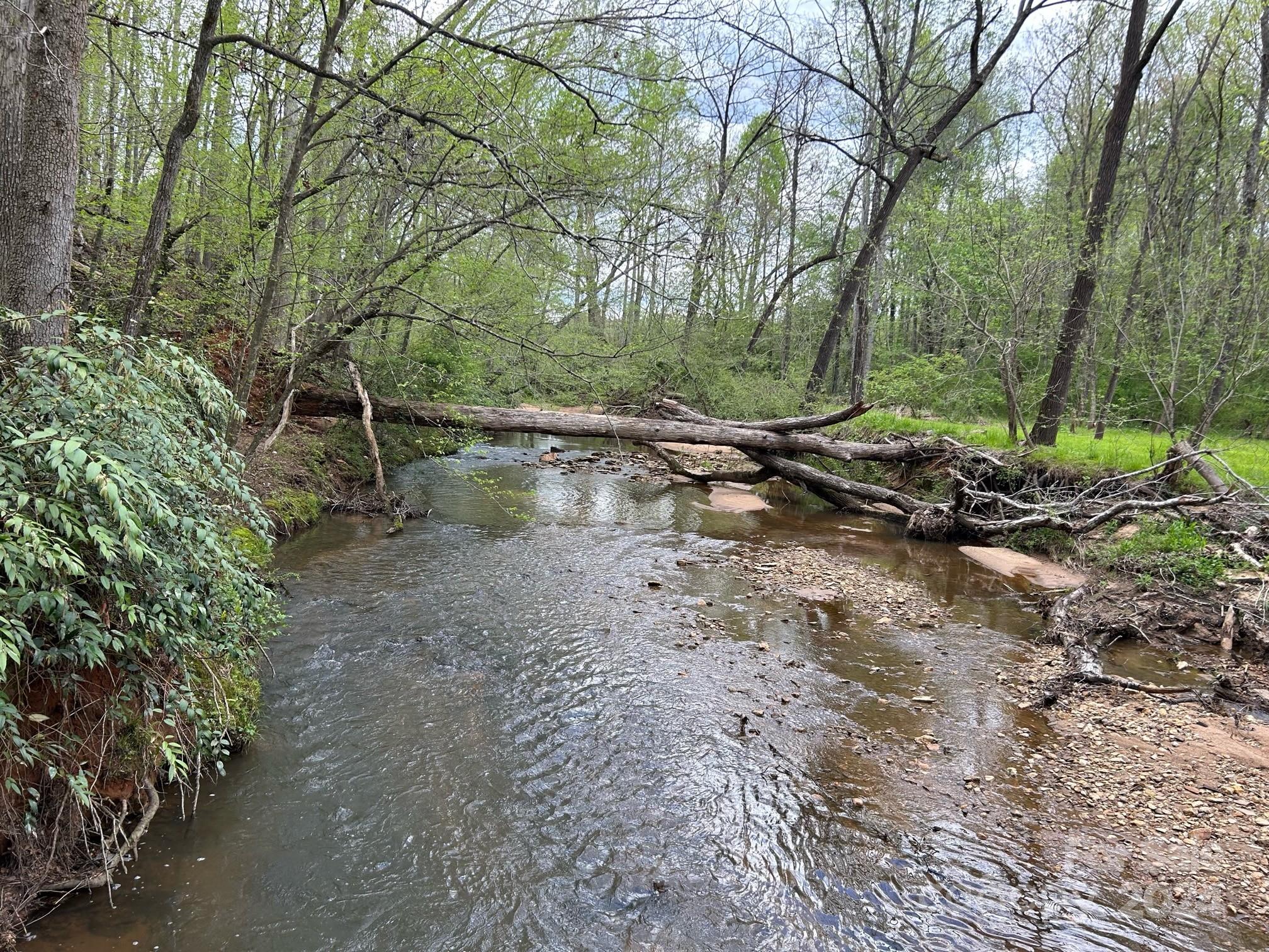 434 Pointer Road Forest City, NC 28043 - Photo 7 of 25 Gallery Image 7