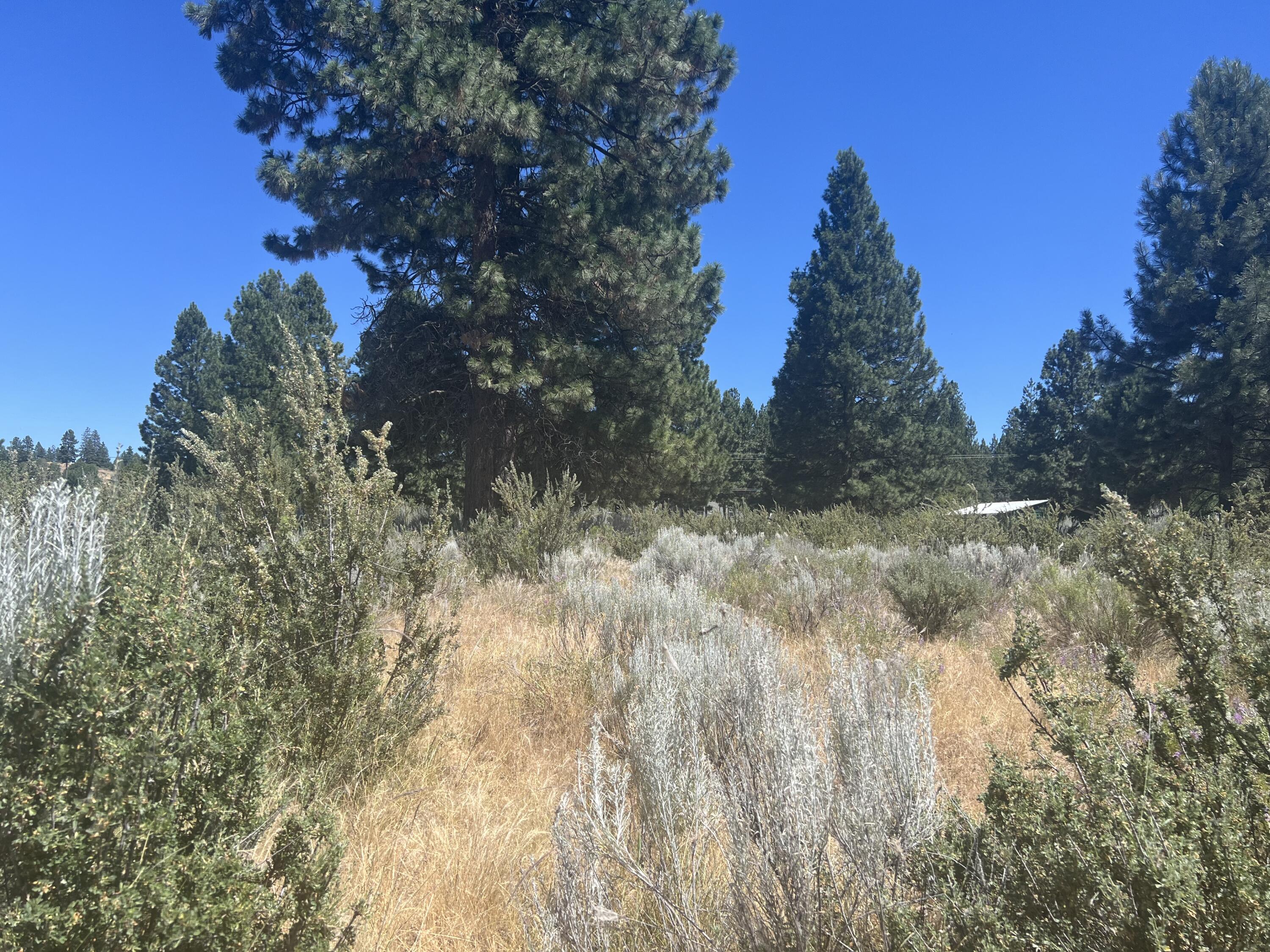 35840 Modoc Point Road, Unit 16 Chiloquin, OR 97624 - Photo 16 of 20 35840 Modoc point rd