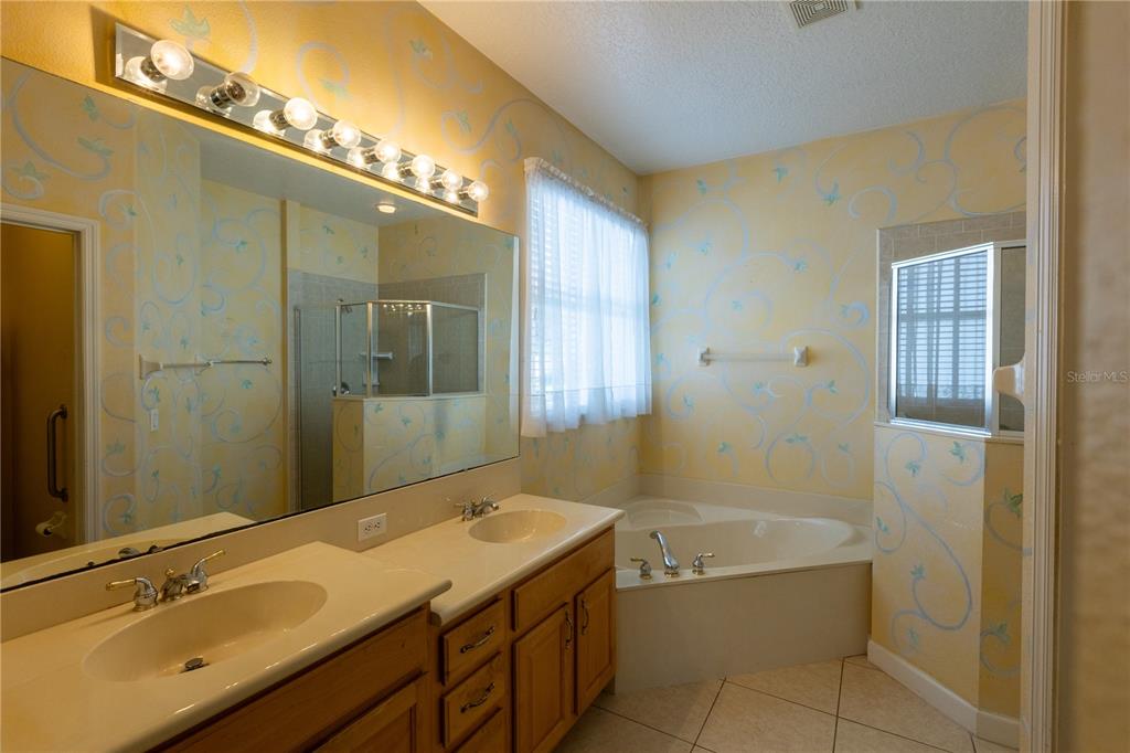 65 Calliope Street Ocoee, FL 34761 - Photo 18 of 60 a bathroom with a granite countertop sink mirror and bathtub