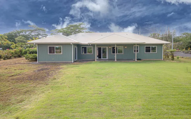 a view of a plant in a garden