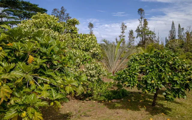 a house with yard in front of it
