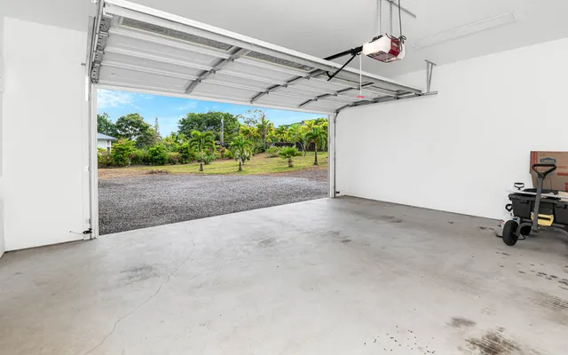 a view of a yard with plants