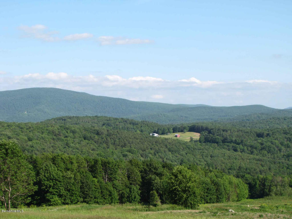 Mt Anthony Road Bennington, VT 05201 - Photo 2 of 9 a view of a green field with lots of bushes