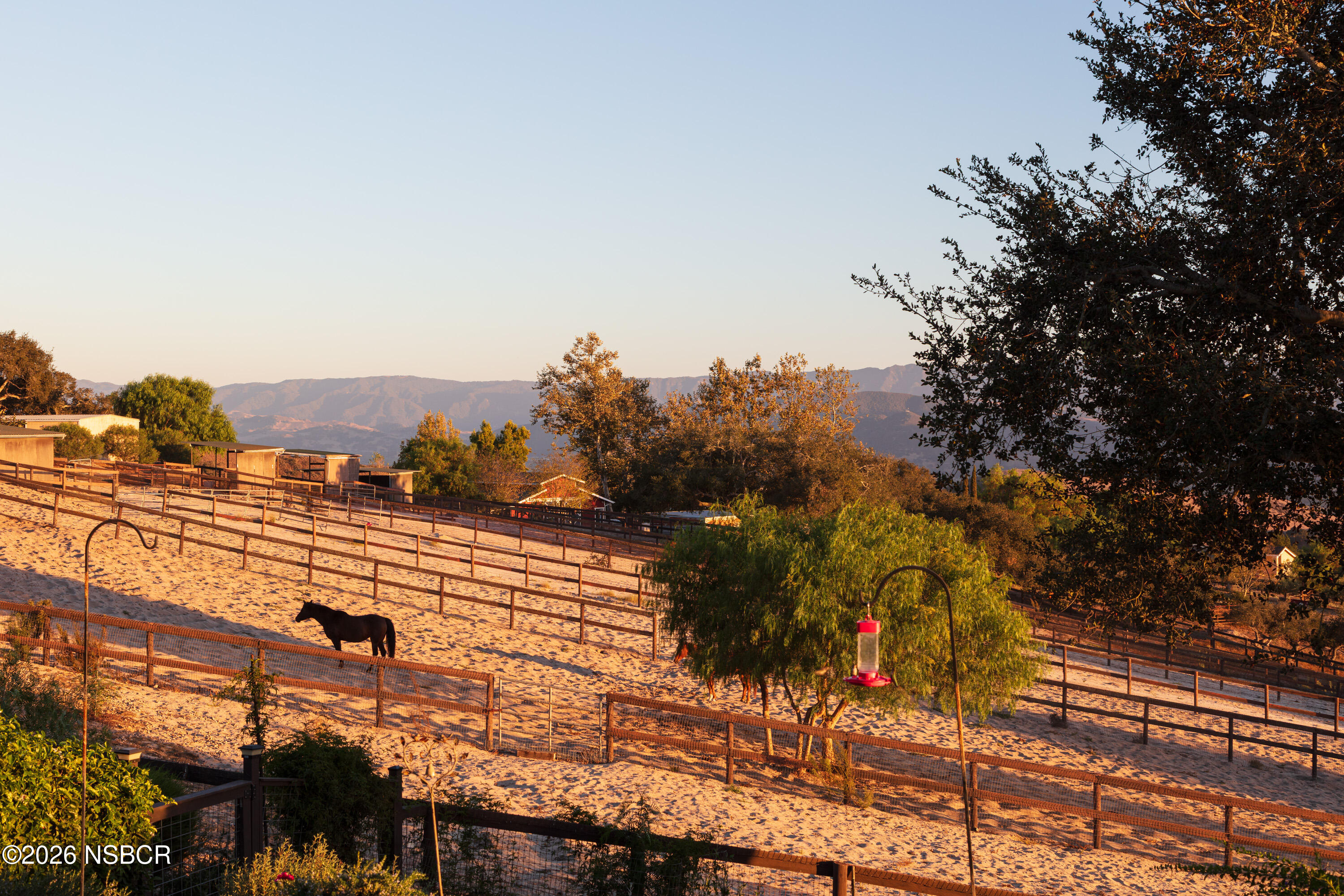 1799 Cougar Ridge Road Buellton, CA 93427 - Photo 4 of 56 Paddocks at Sunset