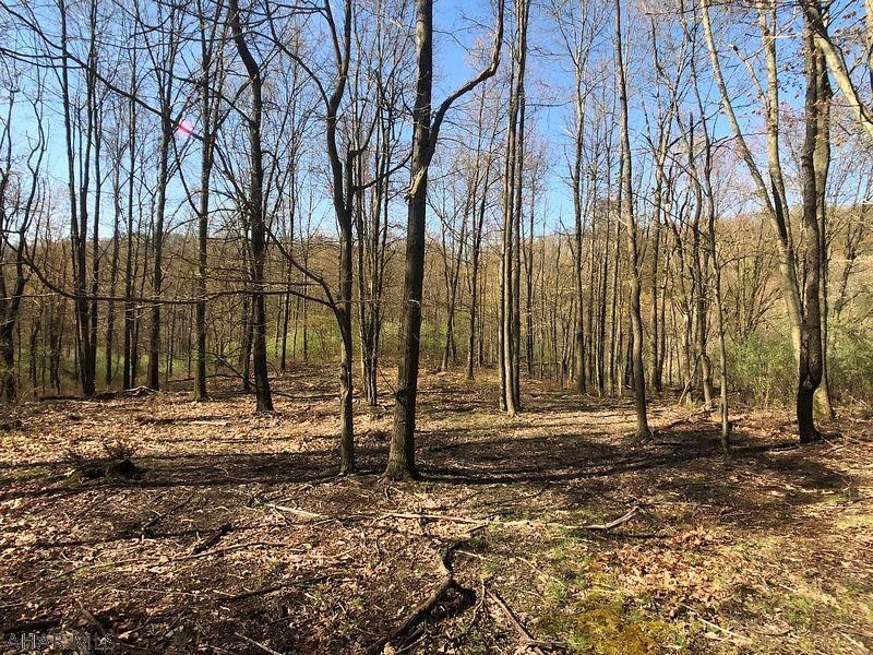 Lot 4 Baughman Cemetery Road Tyrone, PA 16686 - Photo 8 of 25 Gallery Image 8