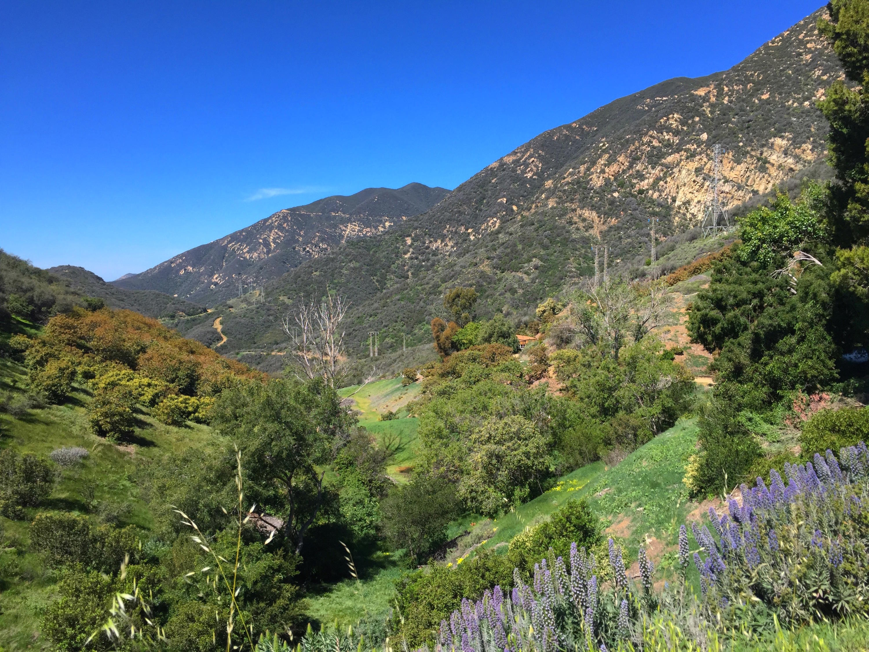 1220 Toro Canyon Road Montecito, CA 93108 - Photo 25 of 31 MeadowView