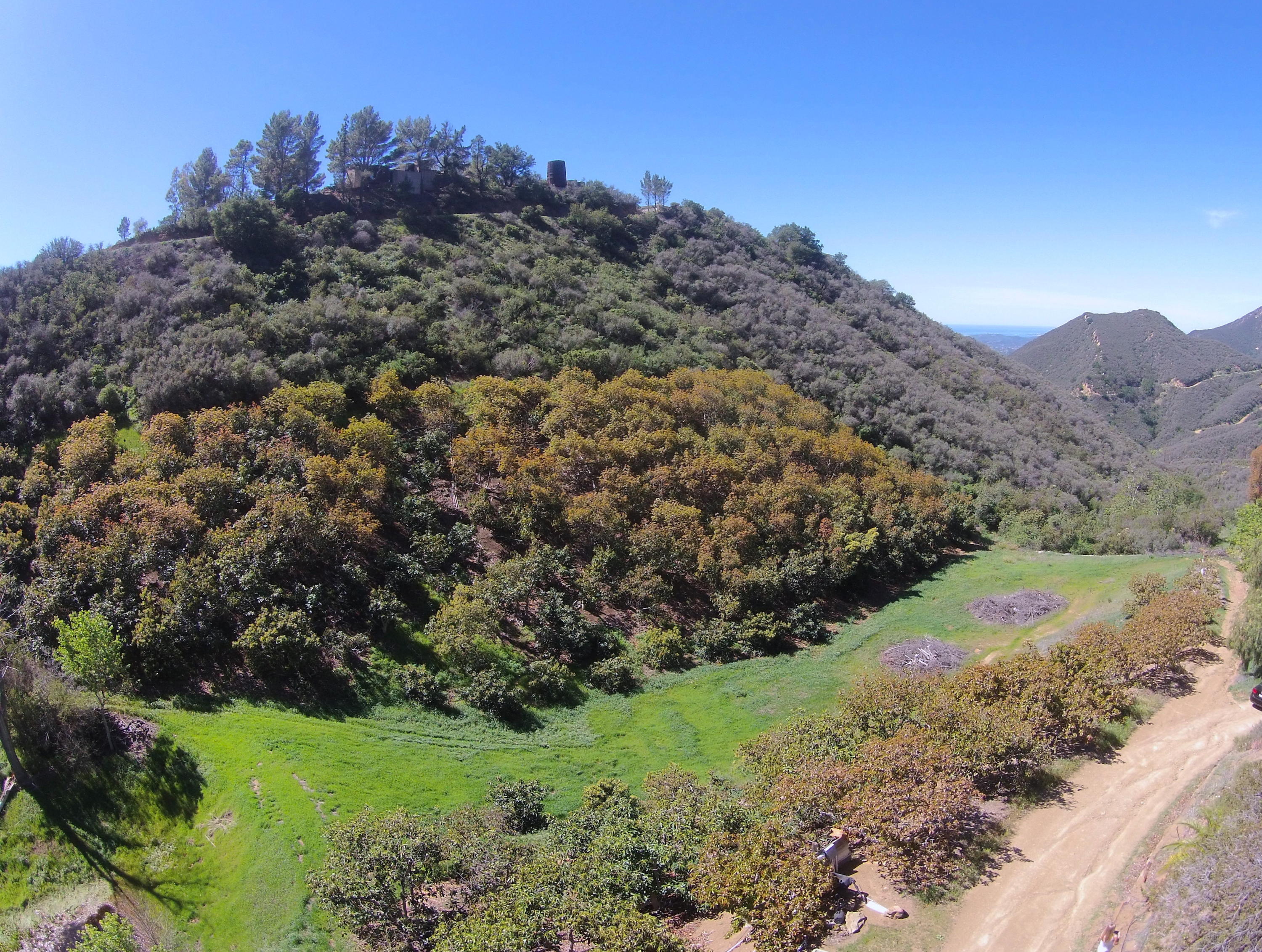 1220 Toro Canyon Road Montecito, CA 93108 - Photo 26 of 31 Meadow
