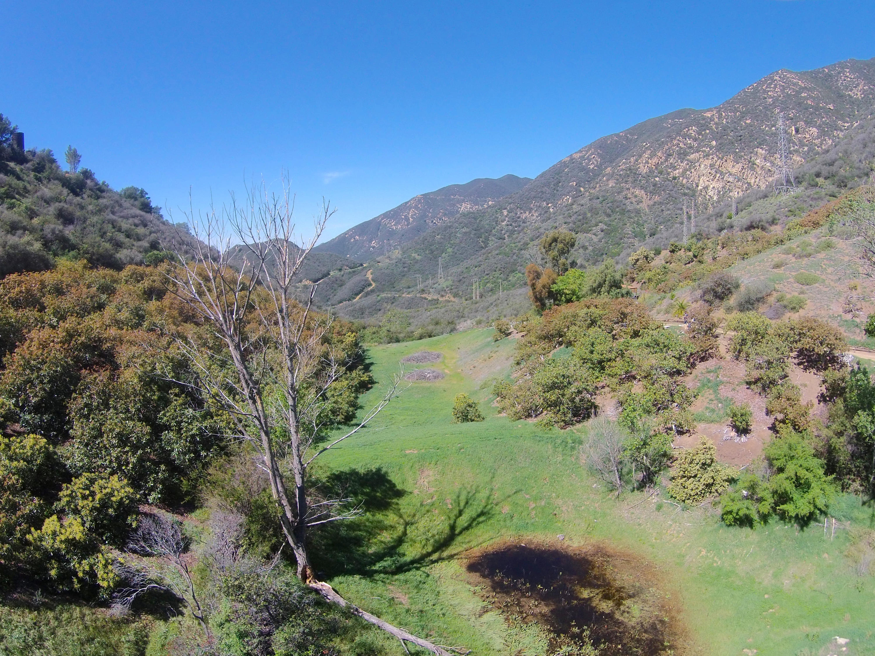 1220 Toro Canyon Road Montecito, CA 93108 - Photo 28 of 31 MeadowView2