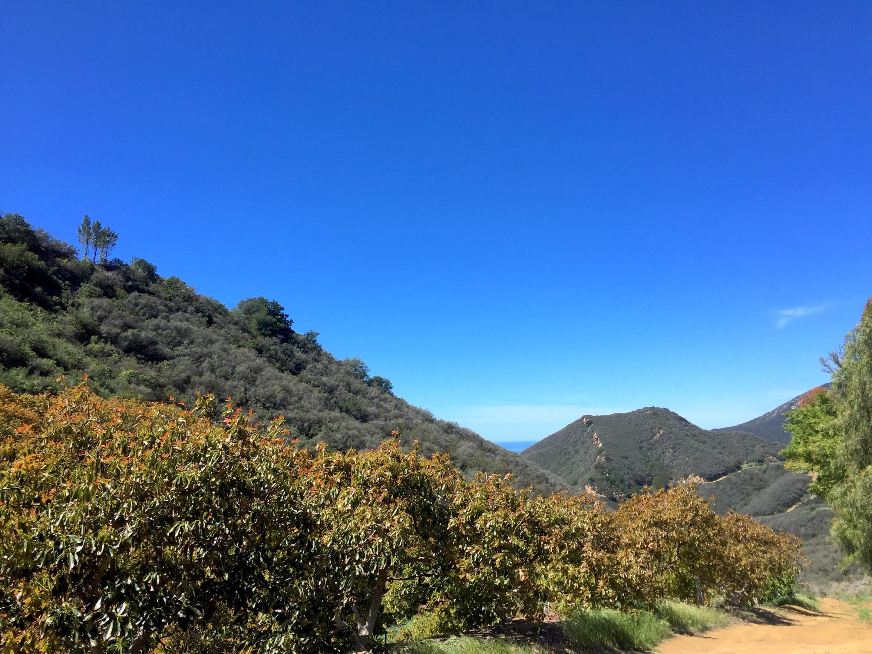 1220 Toro Canyon Road Montecito, CA 93108 - Photo 29 of 31 ViewFromRoad