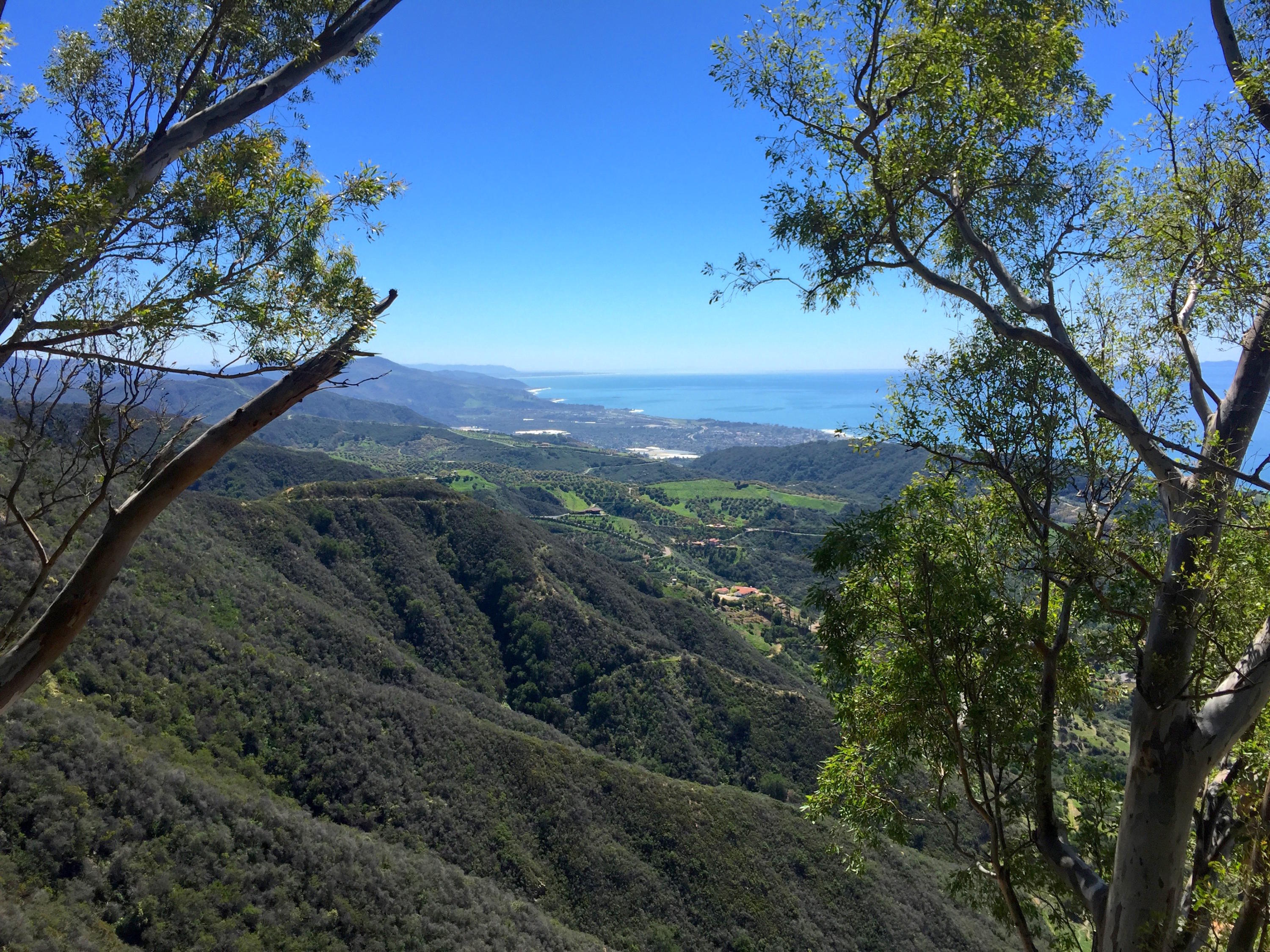 View2