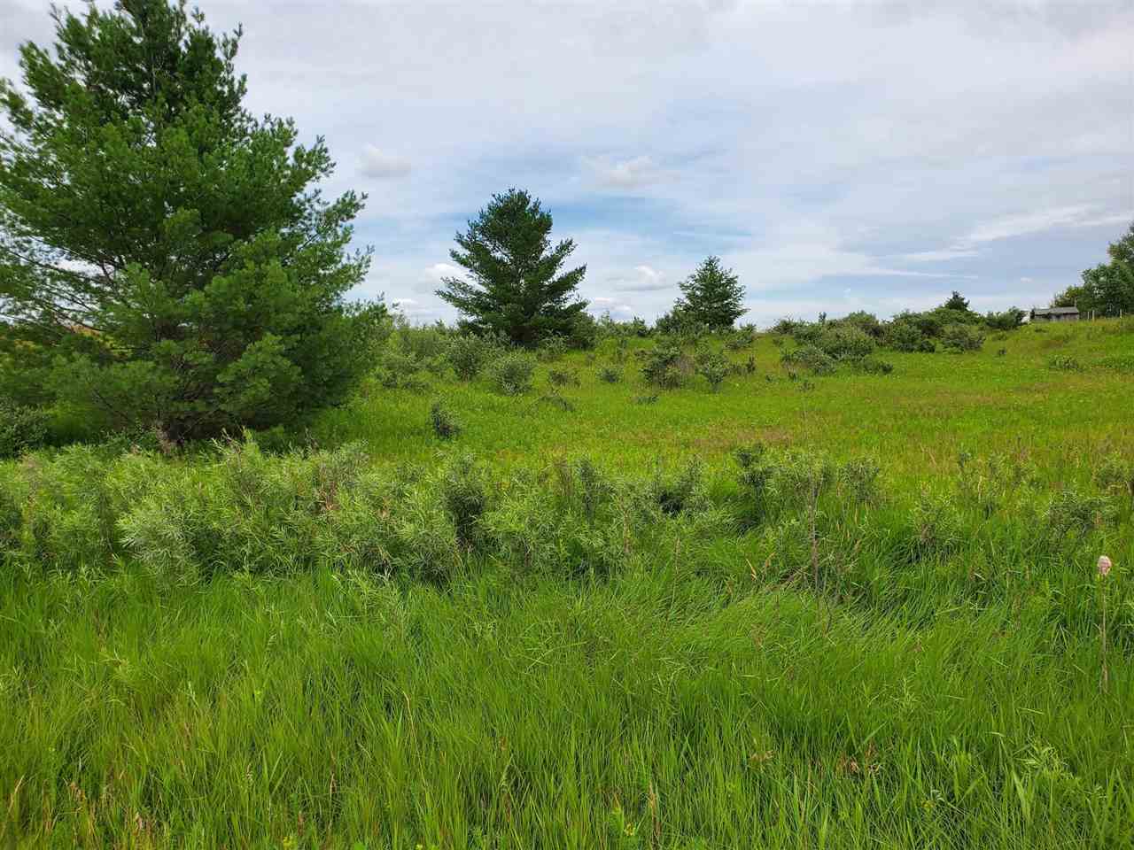 3.38 Fairview Road West Branch, MI 48661 - Photo 1 of 10