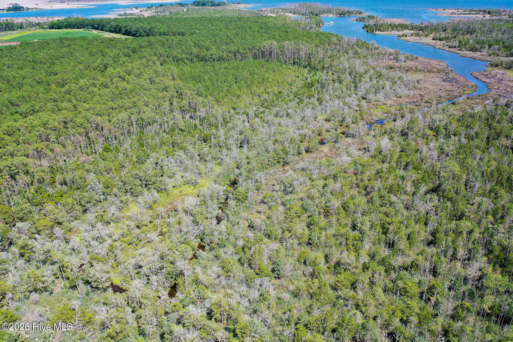 4.57-acres Meekins Road Bayboro, NC 28515 - Photo 6 of 17