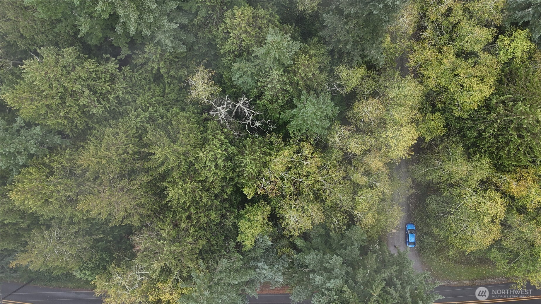 -xxx Jewett Road Clinton, WA 98236 - Photo 11 of 14