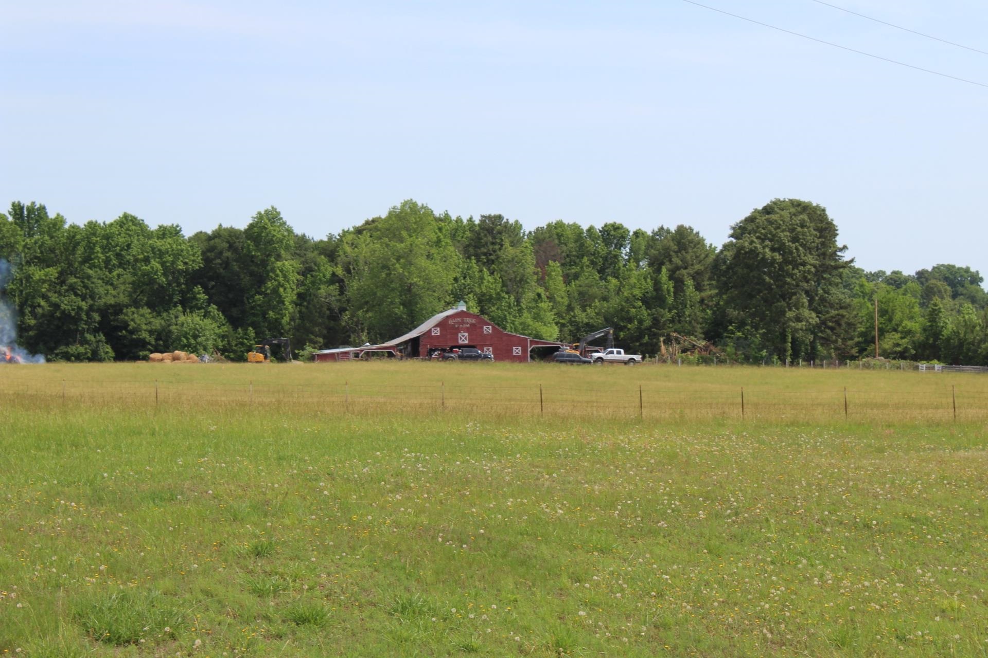 Lot 5 Ted Smith Road Rutherfordton, NC 28139 - Photo 12 of 26