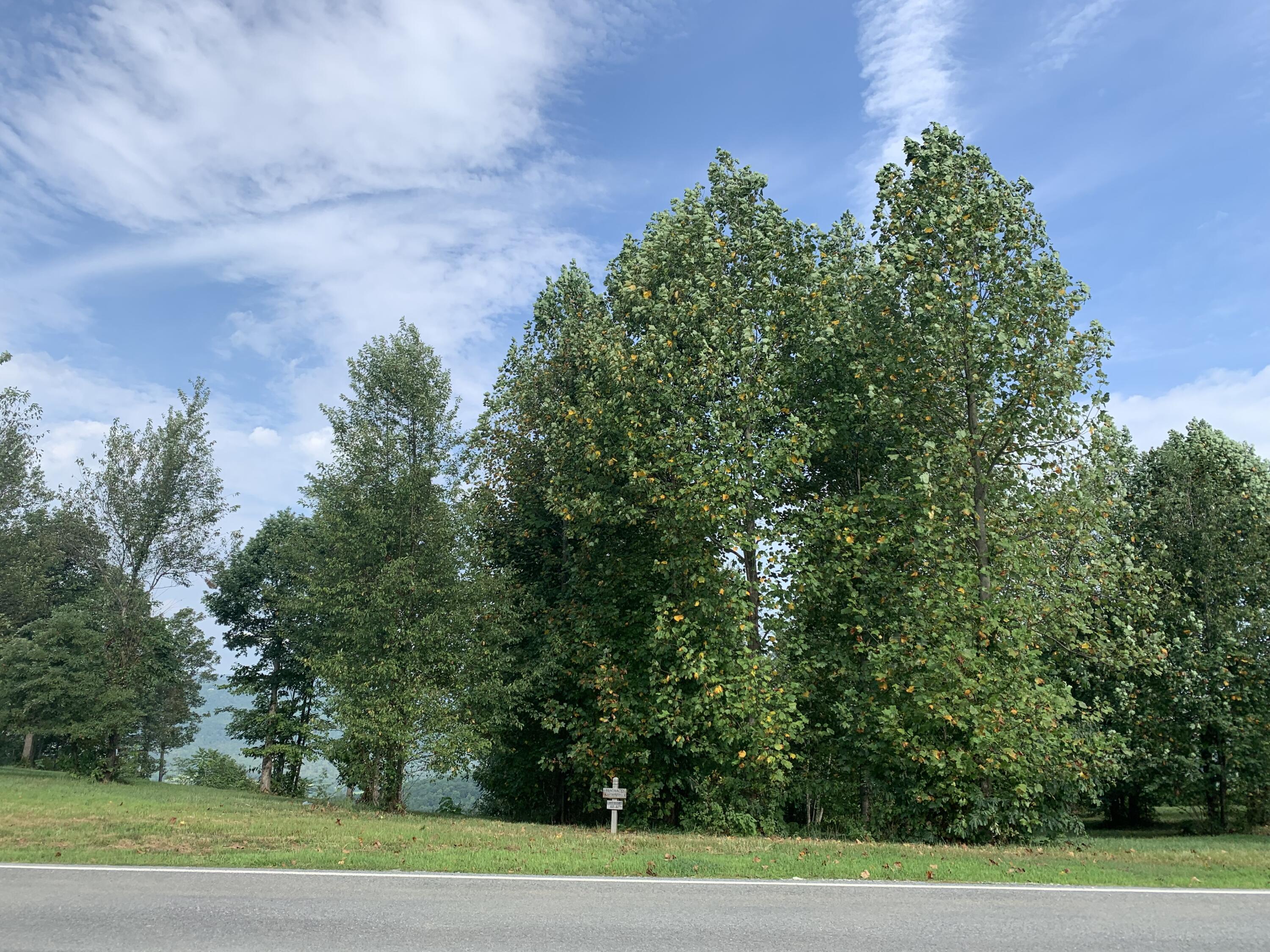 755 Sunset Circle, Unit SV109 Jasper, TN 37347 - Photo 12 of 48 DD0E4BFE-3CC3-4205-92EB-C34ADAE80688