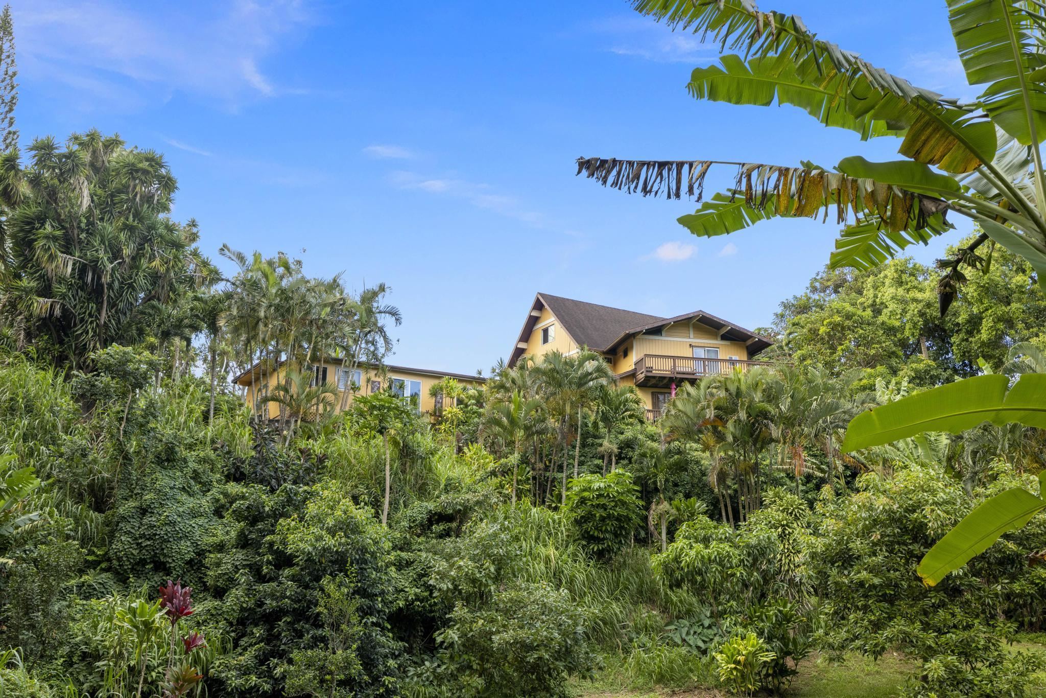 105 East Kuiaha Road Haiku, HI 96708 - Photo 2 of 49