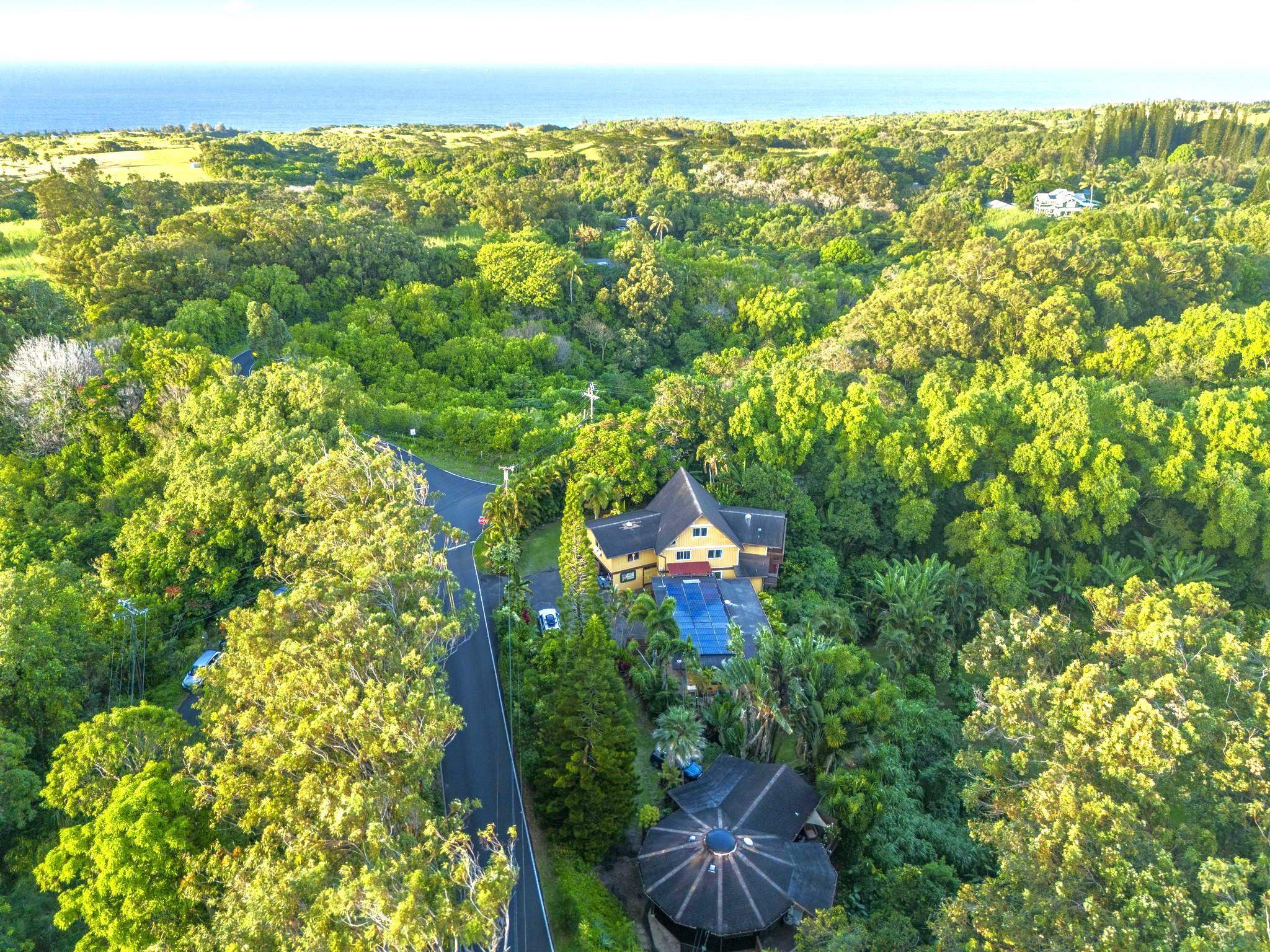 105 East Kuiaha Road Haiku, HI 96708 - Photo 3 of 49