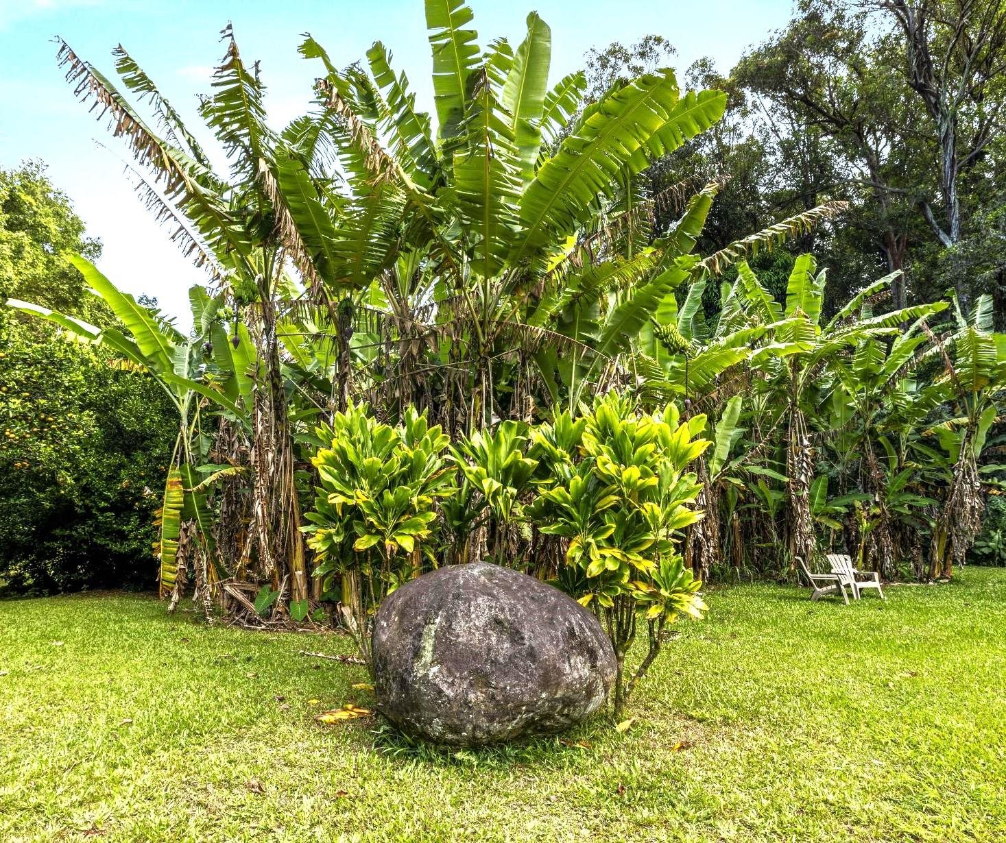 105 East Kuiaha Road Haiku, HI 96708 - Photo 10 of 49