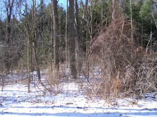 0 Benjamin Road Corning, NY 14830 - Photo 1 of 1