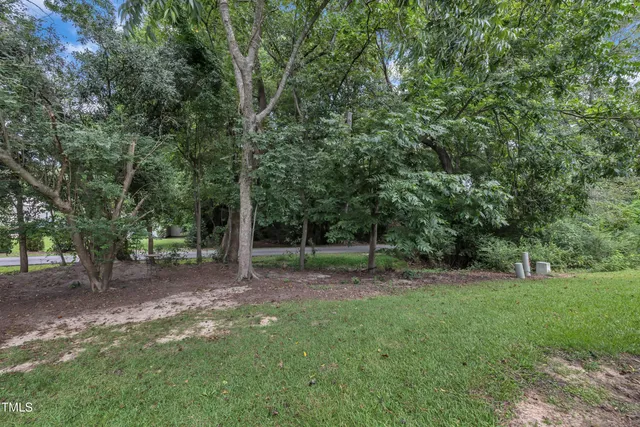 a view of a park with large trees