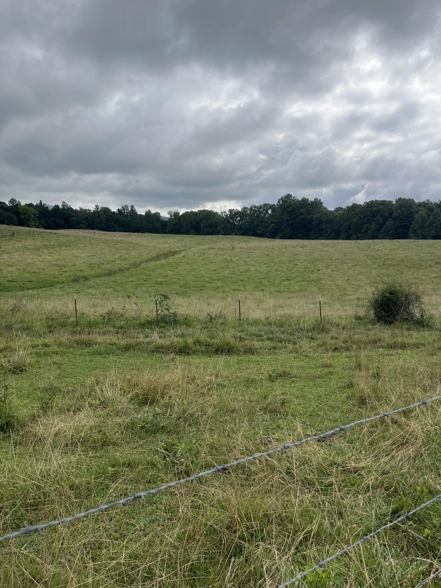 899 East L Smith Road Monroe, TN 38573 - Photo 4 of 18