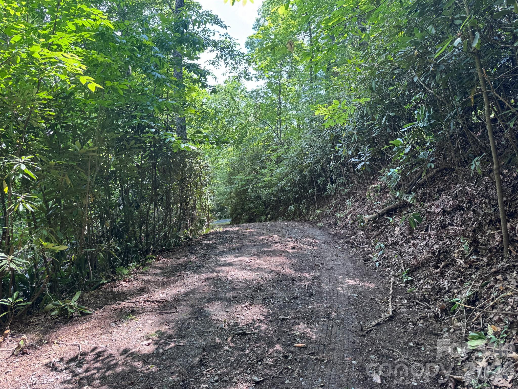 10 A Reserve Road Pisgah Forest, NC 28768 - Photo 28 of 33