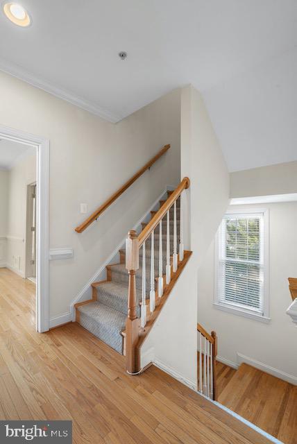 5420 Edsall Ridge Place Alexandria, VA 22312 - Photo 22 of 53