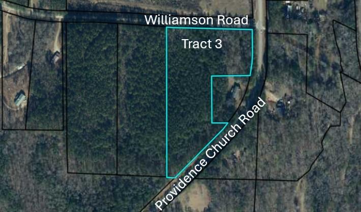 Tract3 Williamson Road Tallapoosa, GA 30176 - Photo 1 of 1 Gallery Image 1