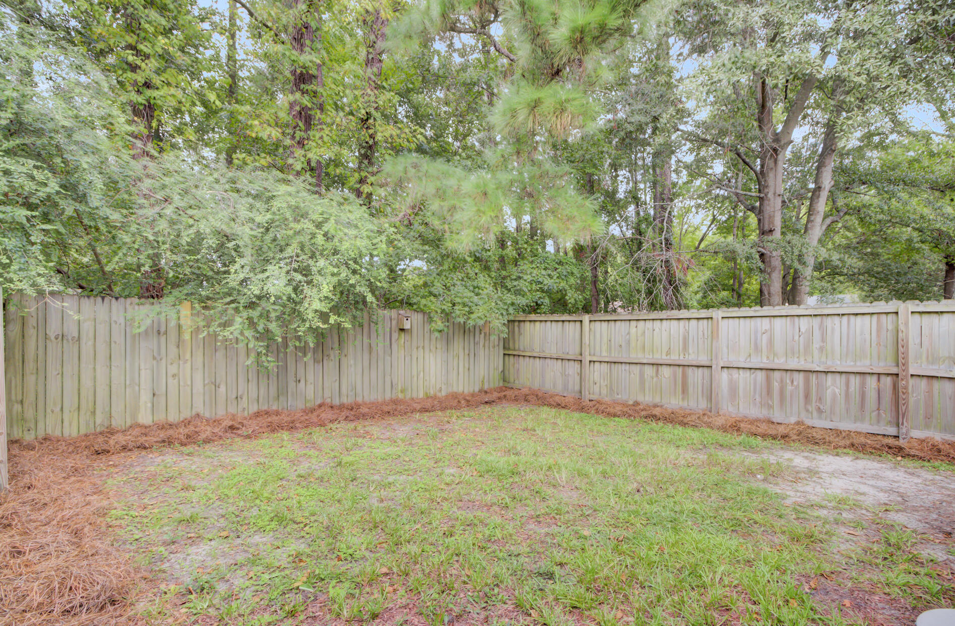 423 Miami Street, Unit B Ladson, SC 29456 - Photo 29 of 32 Back View