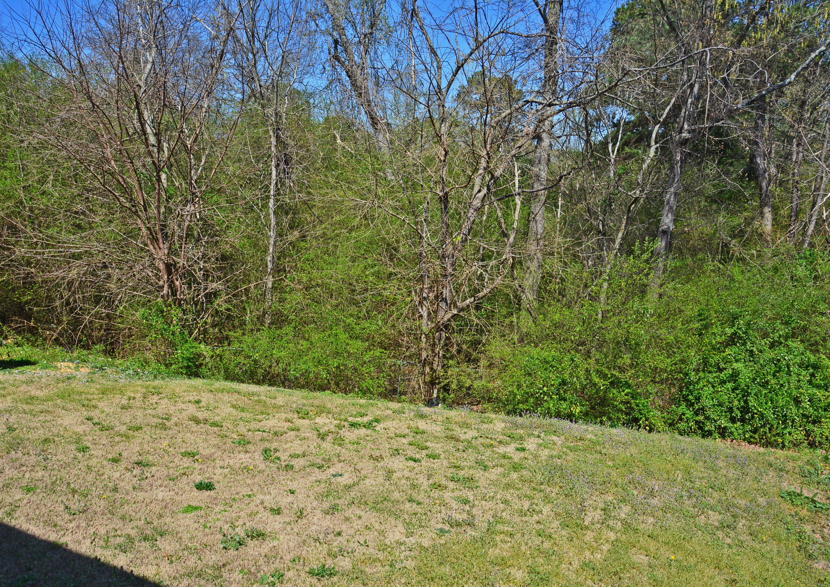 6556 Kenton Ridge Circle, Unit 10 Chattanooga, TN 37421 - Photo 18 of 18 Backyard