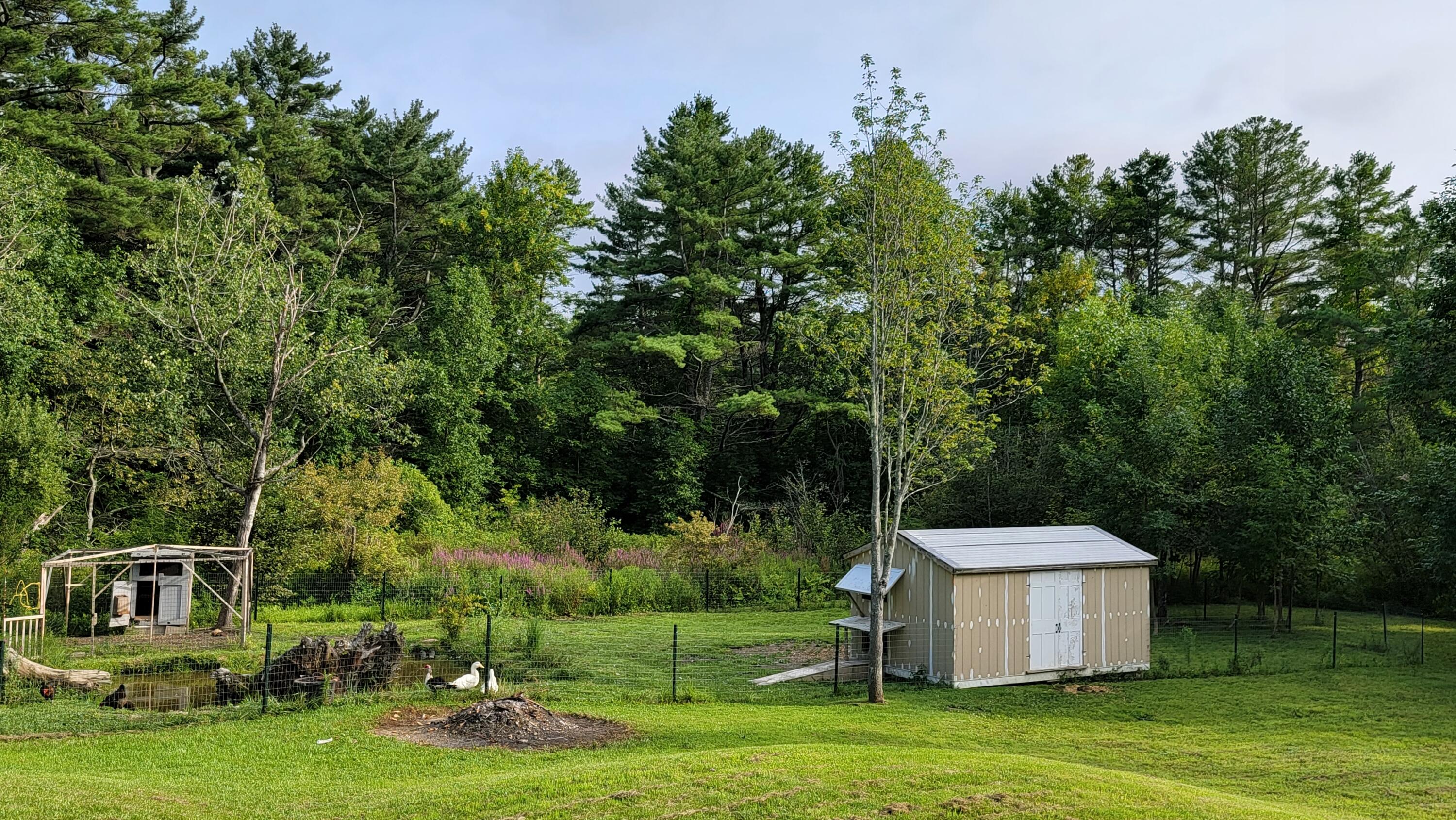 63 George Wright Road Woolwich, ME 04579 - Photo 23 of 26 20210809_172805