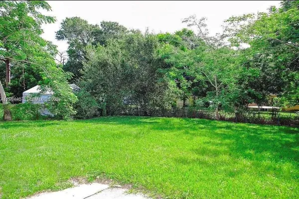 a view of a yard with a tree