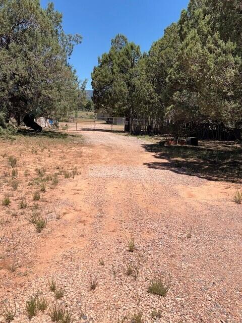 Lot 46 Park Road Payson, AZ 85541 - Photo 3 of 6 pic1