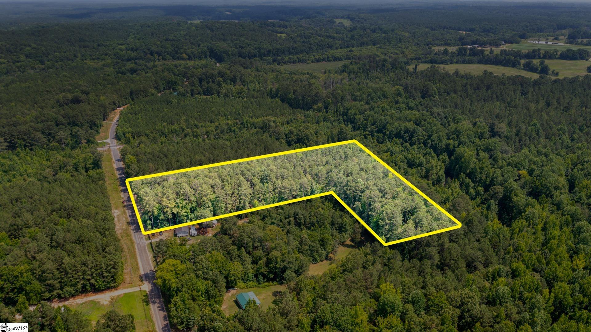 0 Stomp Springs Road Clinton, SC 29325 - Photo 10 of 15