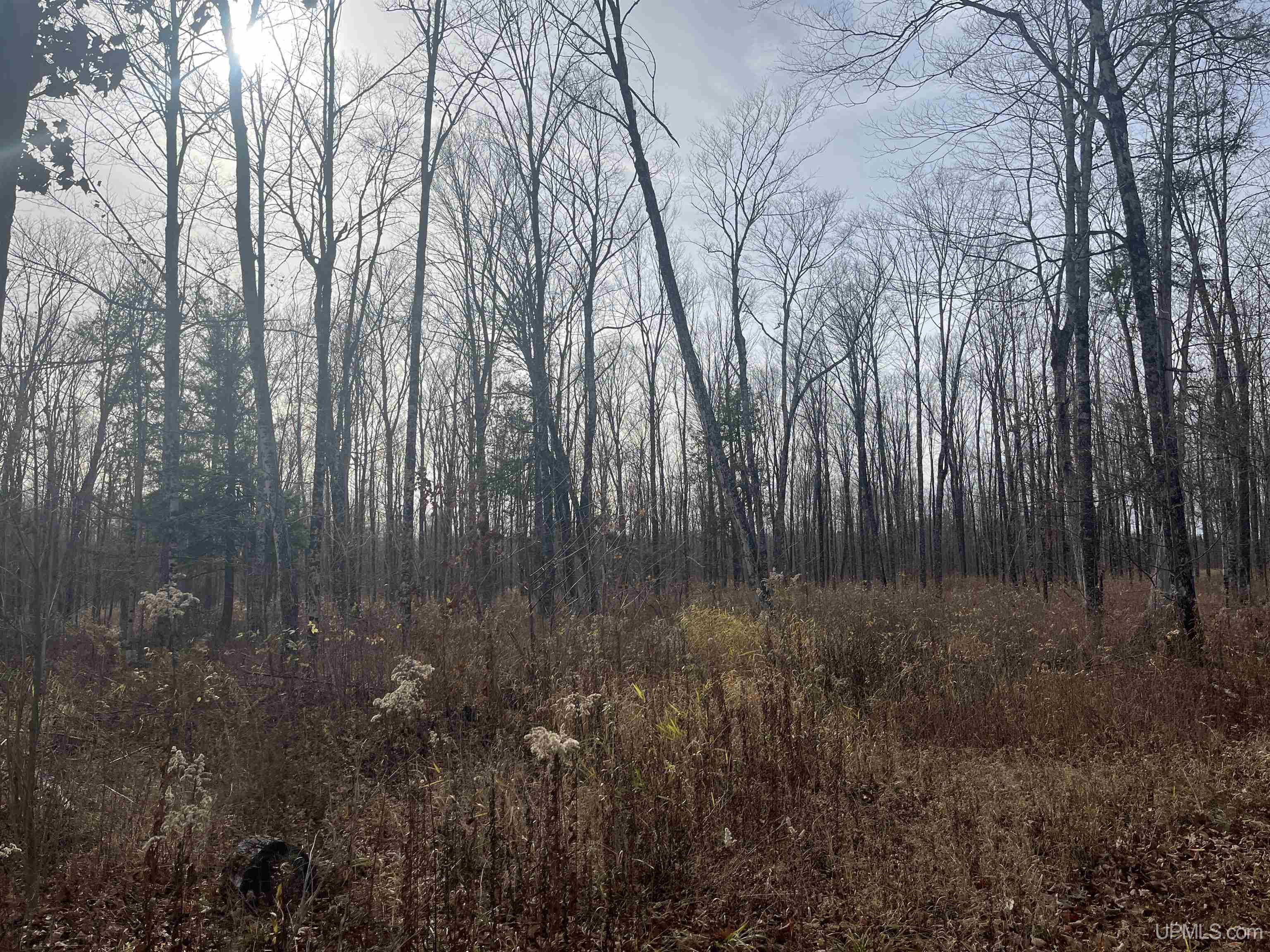 120-acres Off County Sk Road Cornell, MI 49818 - Photo 6 of 40
