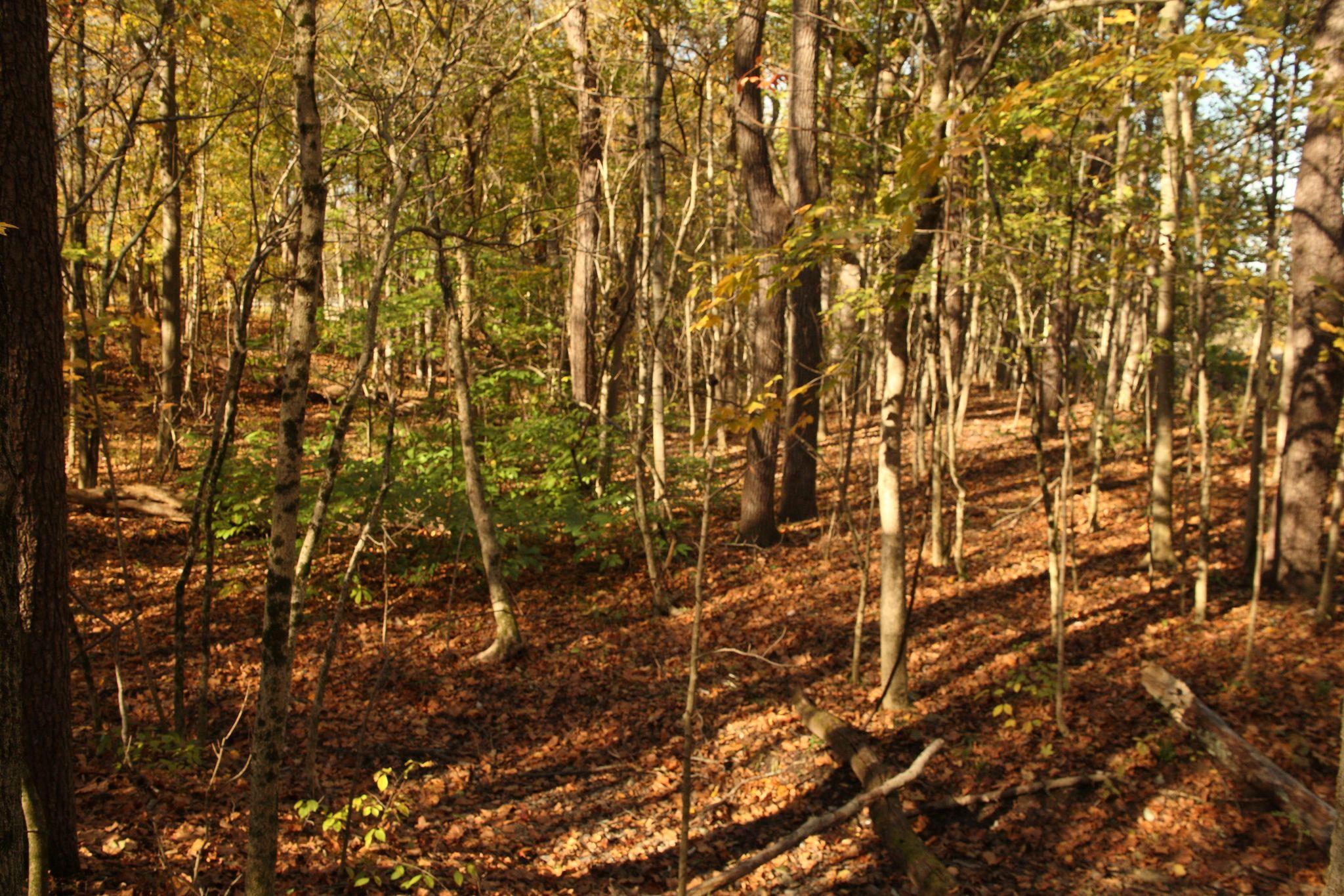 0 Perry Road Delaware, OH 43015 - Photo 2 of 8