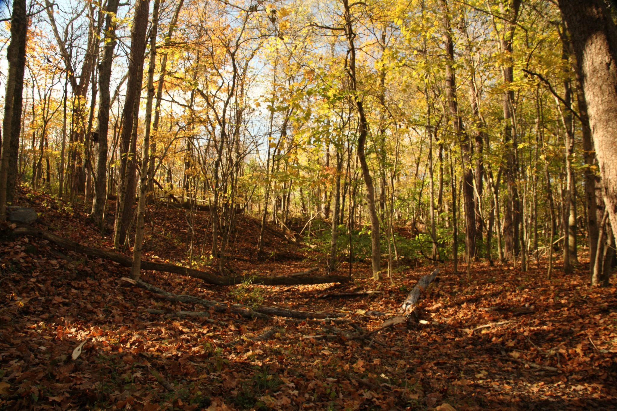 0 Perry Road Delaware, OH 43015 - Photo 4 of 8