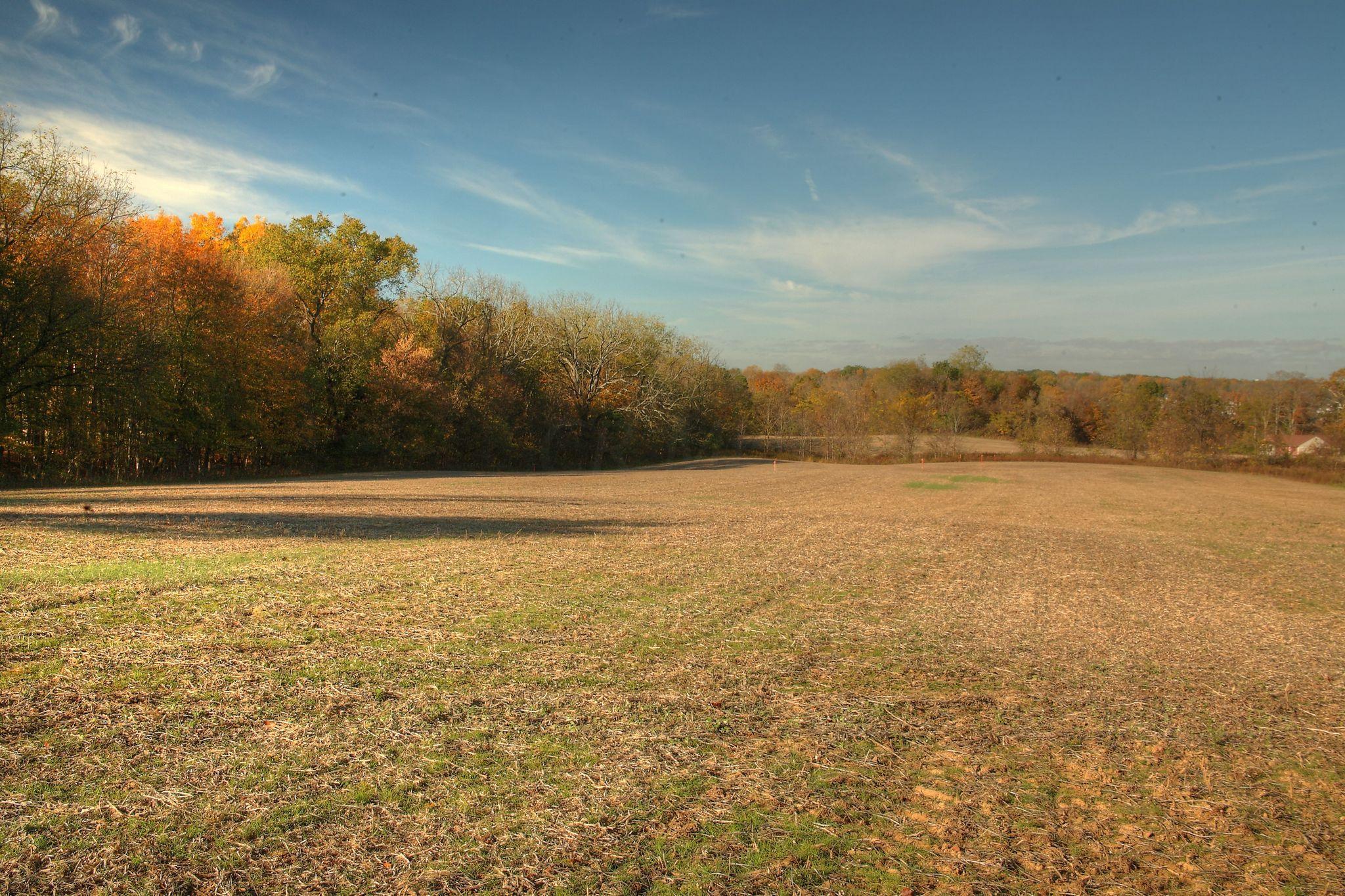 0 Perry Road Delaware, OH 43015 - Photo 5 of 8