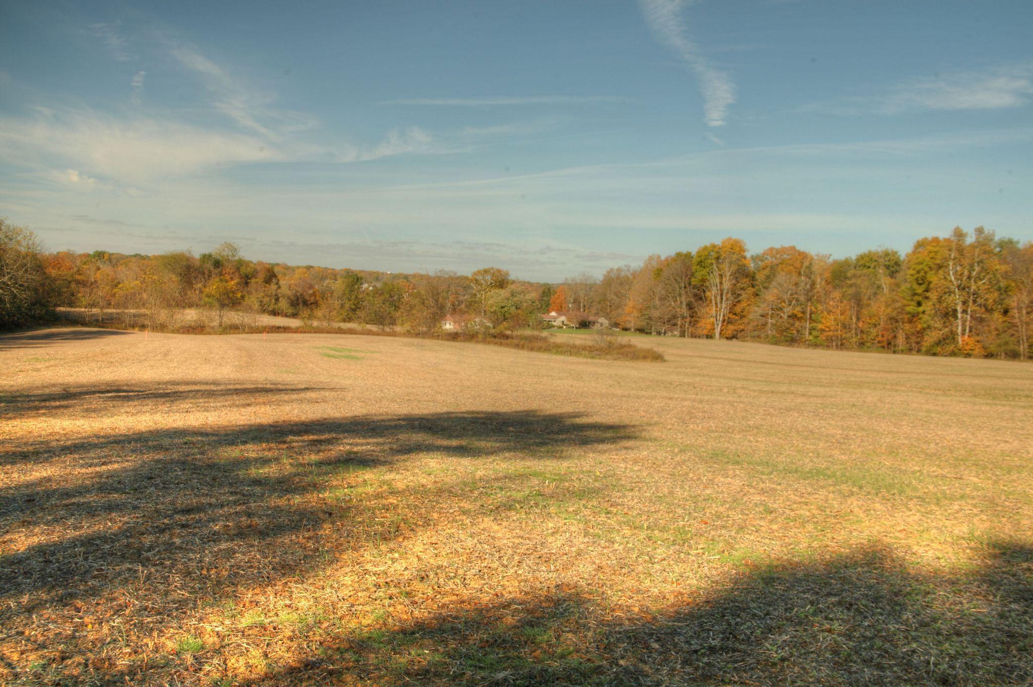 0 Perry Road Delaware, OH 43015 - Photo 6 of 8