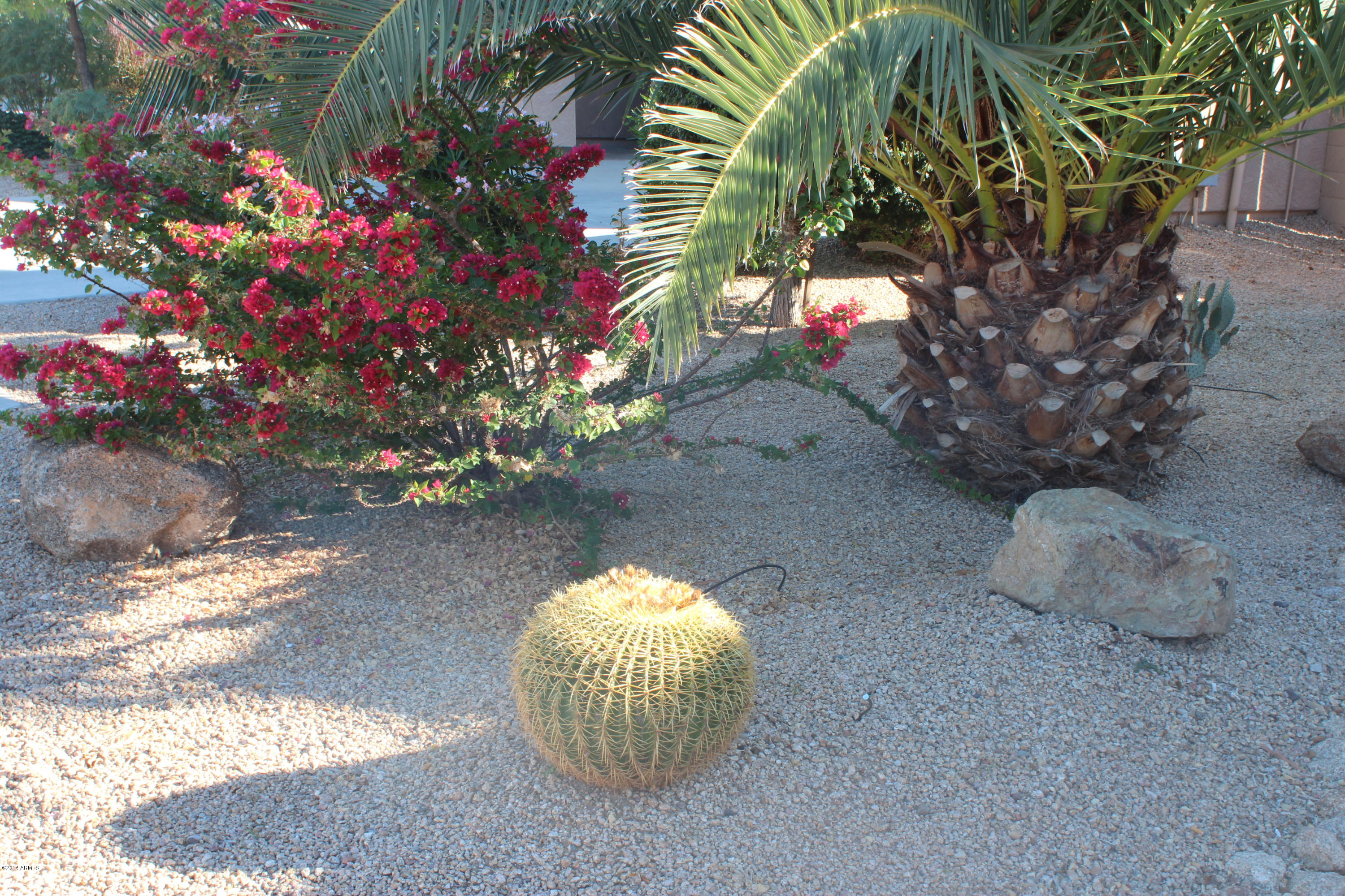 17779 West Calavar Road Surprise, AZ 85388 - Photo 2 of 15 17779 W Calavar 043